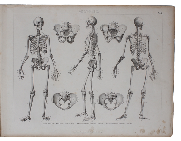 Ikonographische Encyklopädie der Wissenschaften und Künste. Ein Ergänzungswerk zu jedem Conversations=Lexikon. Zweite vollst. umgearb. Aufl. 1.-7. Band (von 8).