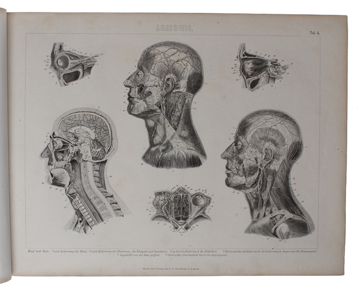 Ikonographische Encyklopädie der Wissenschaften und Künste. Ein Ergänzungswerk zu jedem Conversations=Lexikon. Zweite vollst. umgearb. Aufl. 1.-7. Band (von 8).