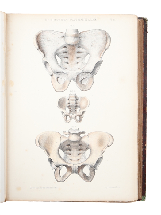 Atlas de L'Art des Accouchements. Continué par Marc Sée (et) S. Tavernier. Ouvrage contenant 105 Planches avec Texte Explicatif en Regard.