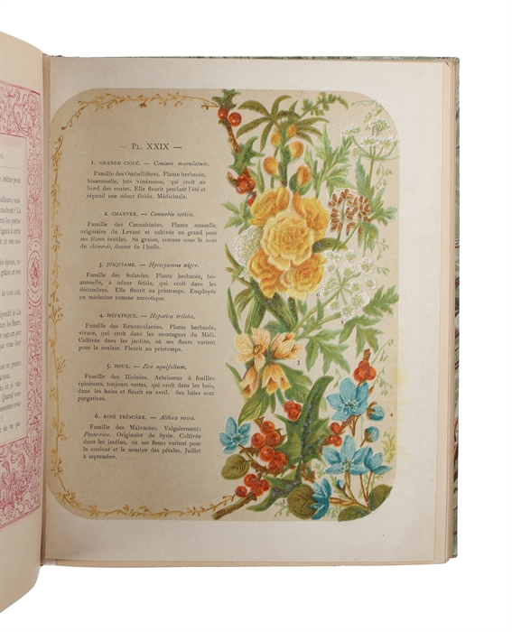 L'Esprit des Fleurs. Symbolisme-Science.