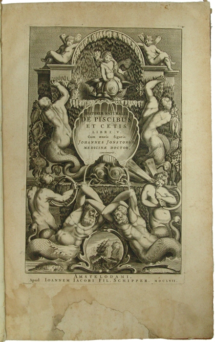 Historiæ Naturalis de Piscibus et Cetis Libri V. Cum æneis figuris. + Historiæ Naturalis De Exanguibus Aquaticis Libri IV. Cum figuris Æneis.