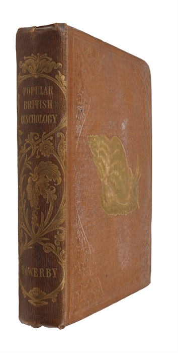Popular British Conchology. A Familar History of the Molluscs inhabiting the British Isles.