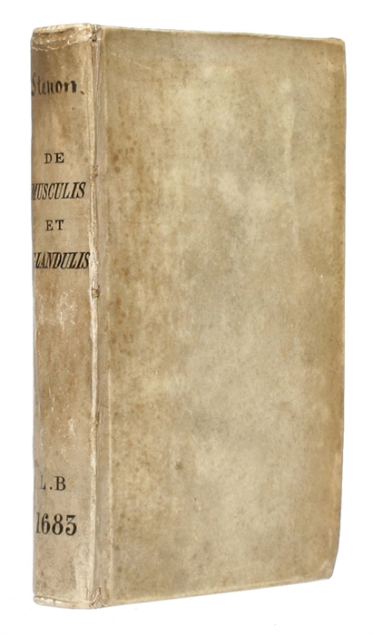 De Musculis et Glandulis Observationum Specimen. Cum Epistolis duabus Anatomicis. (And) Observationes Anatomicæ, quibus Varia Oris, Oculum, & Narium vasa describuntur, novique salivæ, lacrymarum & muci fontes deteguntur. Et Novum Nobilissimi Bilsii De...