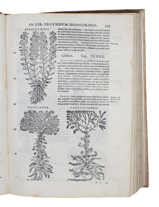 Commentarii secundo aucti in Libros sex Pedacii Dioscoridis Anazarbei de Medica Materia. Adiectis quamplurimis plantarum, & animalium imaginibus, quæ in priore editione non habentur, eodem auctore. Hic accessit eivsdem Apologia Adversus Amathum Lusita...