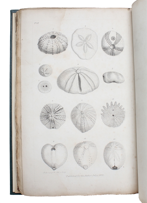 An Introduction to the Study of Fossil organic Remains; especially of those found in The British Strata: intended to aid the Student in his Enquiries respecting the Nature of Fossils, and their Connection with the Formation of the Earth. With illustrat...