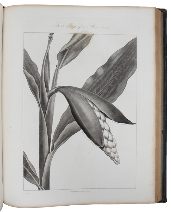 New Illustration of the Sexual System of Carolus Von Linnaeus: Comprehending an Elucidation of the Several Parts of the Fructification; A Prize Dissertation of the Sexes of the Plants; A full Explanation of the Classes, and Orders of the Sexual System...