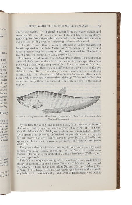 The Fresh-Water Fishes of Siam, or Thailand.