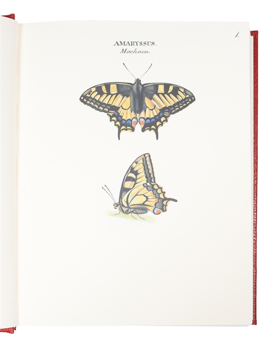 Swenska Fjärilar. Ordo Lepidoptera. (1. Diurni. 2. Nocturni). Efter Naturen Målade. 2 Bd. + Swenska Fjärilar målade för greve Nils Bonde 1828-1835. Kommentar av Björn Dal. (ialt 3 Bd.)