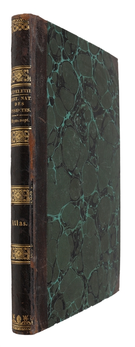 Histoire Naturelle des Insectes. Hyménoptères. Atlas renfermant 48 planches gravées sur acier. (Atlas-volume alone).