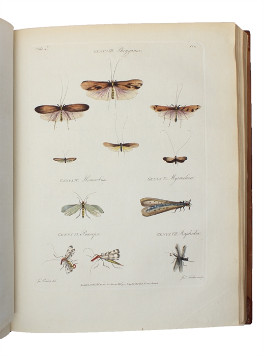 The Genera Insectorum of Linnaeus exemplified by various Specimens of English Insects drawn from Nature (engraved title) - Les Genres des Insectes de Linné; constatés par divers Échantillons D'Insectes D'Angleterre, copiés d'apres Nature (printed t...