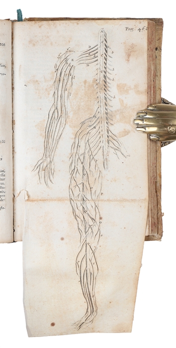 Anatomia, ex Casparl Bartholini parentis institutionibus, omniumque recentiorum & proprils observationibus tertium ad sanguinis circulationem reformata.