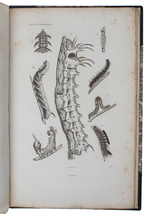 Introduction à l'entomologie comprenant les principes généraux de l'anatomie et de la physiologie des insectes, [...].