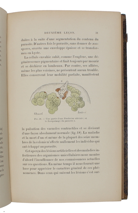 Leçons sur la pathologie comparée de l'inflammation faites à l'Institut Pasteur en Avril et Mai 1891-