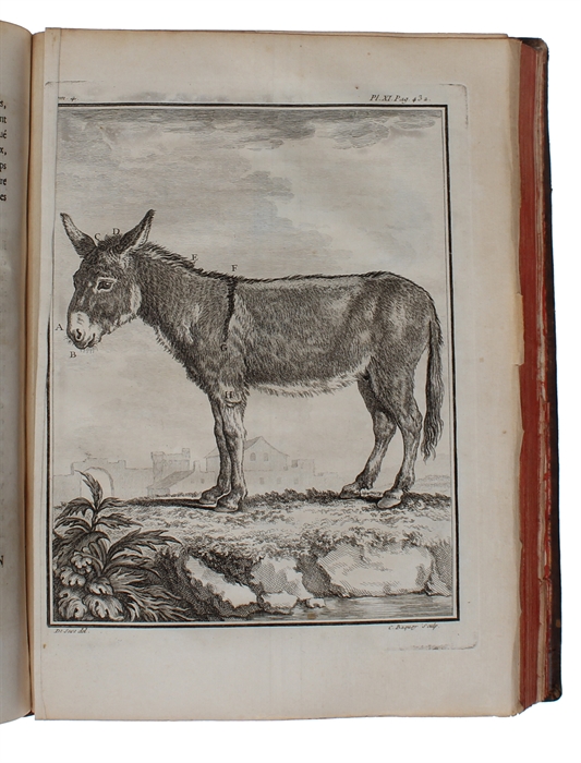 Histoire Naturelle, Générale et Particulière, avec la description du Cabinet du Roy (15 vols.) (+) Supplément à l'Histoire naturelle (6 vols) (+) Histoire naturelle des Oiseaux (9 vols) (+) Quadrupedes Ovipares et des Serpens (2 vols). 32 vols.