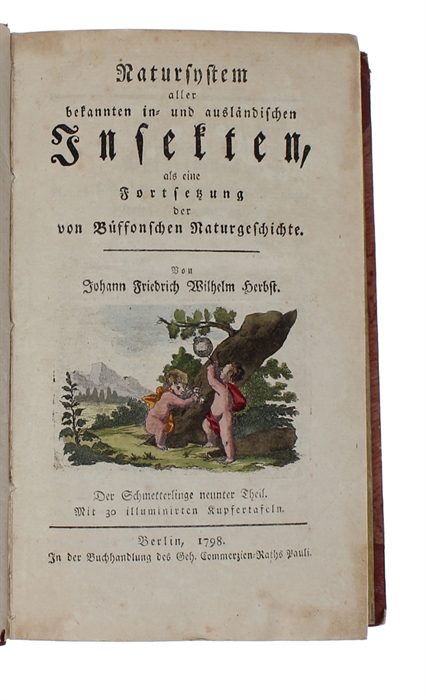 Natursystem aller bekannten in- und ausländischen Insecten. Nach dem System des Ritters Carl von Linné bearbeitet. Schmetterling. 11 vols.