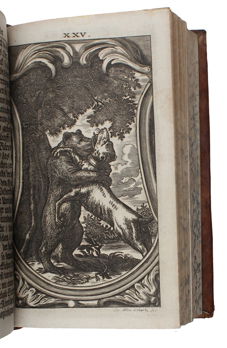 Das unfehlbare Weh der Ewigkeit für die Verächter der Gnaden-Zeit. Mit grund-erwiesenem Bericht von der Hellen und ihrer Gewissheit, von der verzweifelten Hinfshrt verfluchter Seelen an den Ort der Quaal (...).