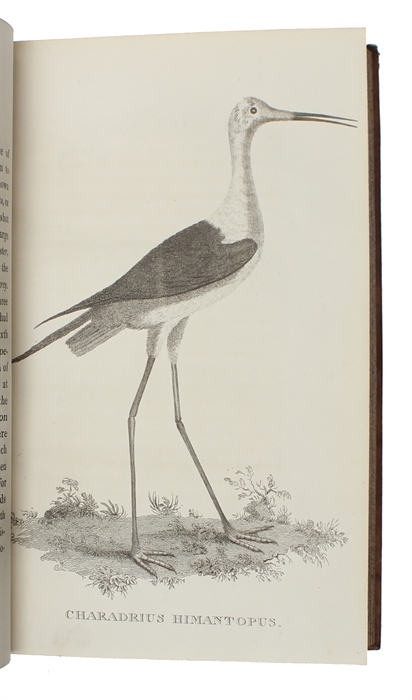 The Natural History of Selborne, new edition, with engravings. 2 vols.