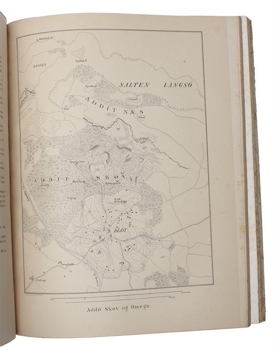 Archæologiske Undersøgelser 1878-1881. Udgivne efter hans Død.