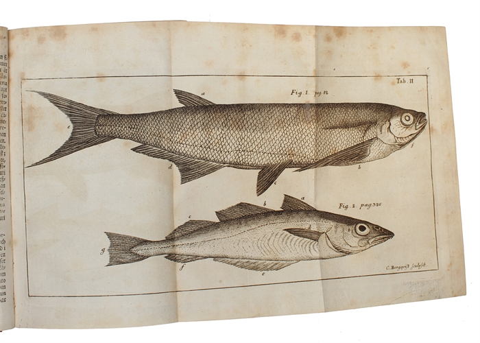 Skånska Resa, På Höga Öfwerhetens Befallning Förrättad År 1749. Med Rön och Anmärkningar Uti Oeconomien, Naturalier, Antiquiteter, Seder, Lefnads-sätt. Med Tilhörige Figurer.