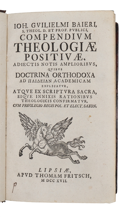 Compendium Theologiae Positivae, Adiectis Notis Amplioribus, Quibus Doctrina Orthodoxa Ad Paideian Academicam Explicatur.