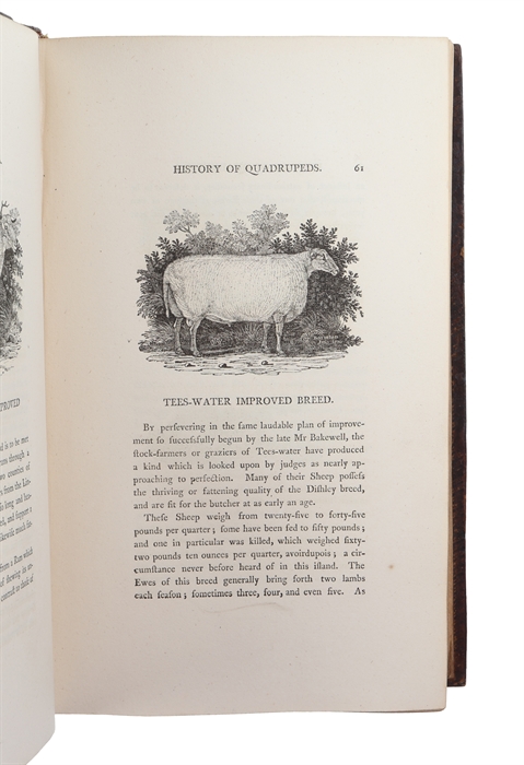 A General History of Quadrupeds. The Figures engraved on Wood by T. Bewick. The fourth edition.