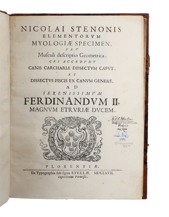 Elementorum myologiae specimen, seu musculi descriptio geometrica. Cui accedunt canis carchariae dissectum caput, et dissectus piscis ex canum genere.