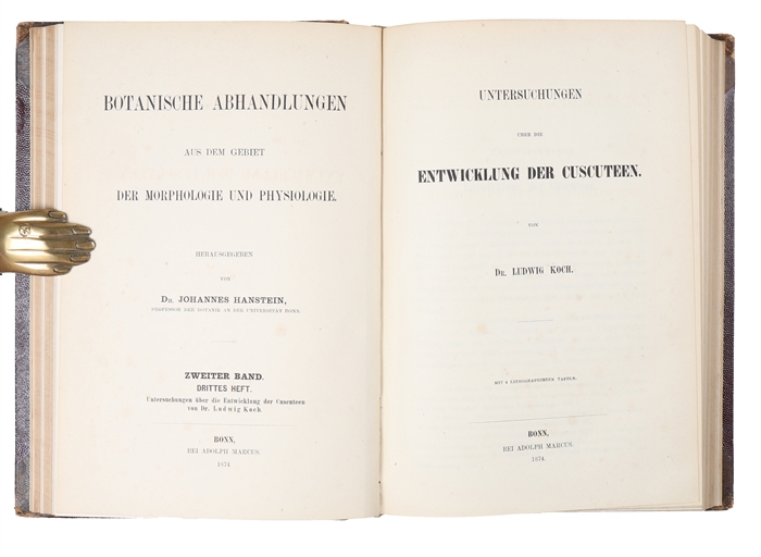 Untersuchungen über Pollen bildende Phyllome und Kaulome (in "Botanische Abhandlungen Aus Dem Gebiet Der Morphologie Und Physiologie". Zweiter Band, Heft 1 - 4 & Dritter Band, Heft 1.