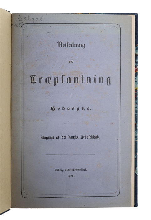 Veiledning ved Træplantning i Hedeegne.