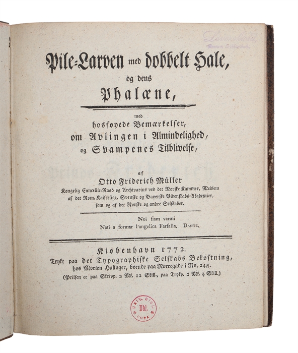 Pile-Larven med dobbelt Hale og dens Phalæne med hosføyede Bemærkelser, om Avlingen i Almindelighed, og Svampenes Tilblivelse.