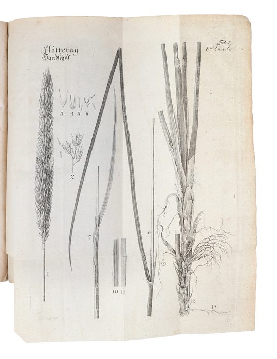 Beschreibung der Sandgewächse und ihrer Anwendung zur Hemmung des Flugsandes auf der Küste von Jütland, zum Gebrauch der Sanddünenbewohner auf Königl. Befehl herausgegeben. Aus dem Dänischen von J. Petersen.