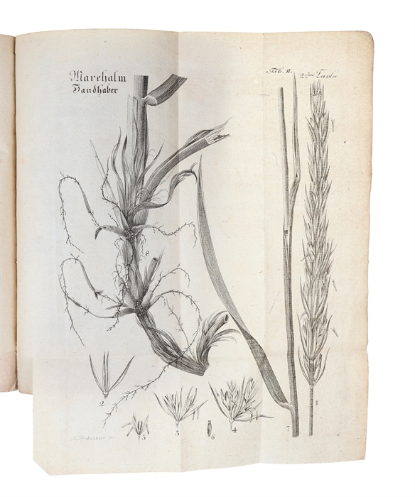 Beschreibung der Sandgewächse und ihrer Anwendung zur Hemmung des Flugsandes auf der Küste von Jütland, zum Gebrauch der Sanddünenbewohner auf Königl. Befehl herausgegeben. Aus dem Dänischen von J. Petersen.
