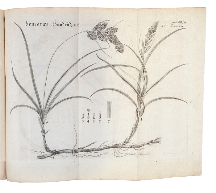 Beschreibung der Sandgewächse und ihrer Anwendung zur Hemmung des Flugsandes auf der Küste von Jütland, zum Gebrauch der Sanddünenbewohner auf Königl. Befehl herausgegeben. Aus dem Dänischen von J. Petersen.