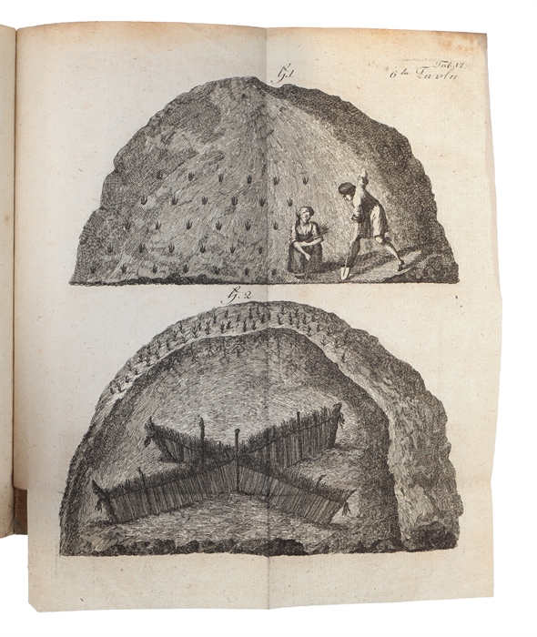 Beschreibung der Sandgewächse und ihrer Anwendung zur Hemmung des Flugsandes auf der Küste von Jütland, zum Gebrauch der Sanddünenbewohner auf Königl. Befehl herausgegeben. Aus dem Dänischen von J. Petersen.