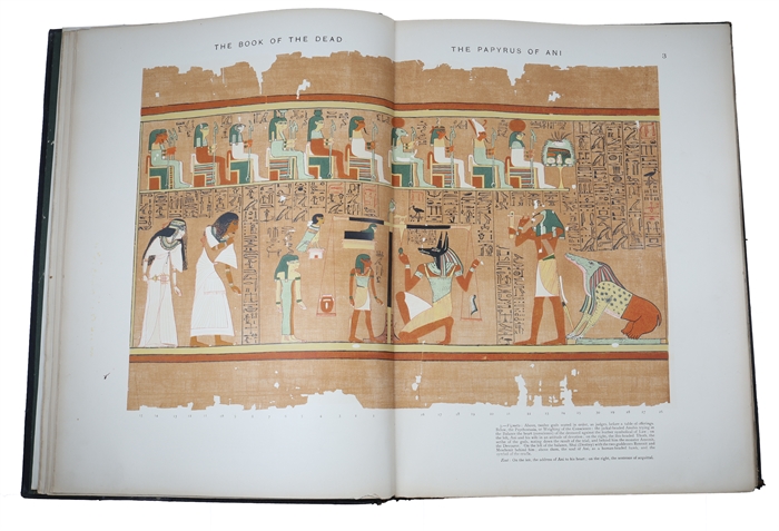 The Book of the Dead. Facsimile of the Papyrus of Ani in the British Museum. Printed by Order of the Trustees. Second Edition. + The Book of the Dead. The Papyrus of Ani in the British Museum. The Egyptian Text with Interlinear Transliteration and Tra...