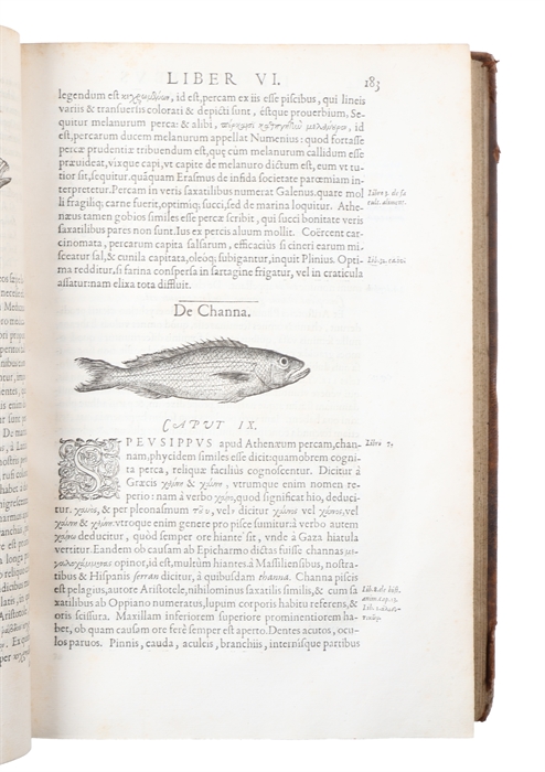Libri de Piscibus Marinis, in quibus Piscium expressæ sunt. Quæ in tota Piscium historia contineantur, indicat Elenchus pagina nona et decima. Postremò accesserunt Indices necessarij. + Vniuersæ aquatilium Historiæ pars altera, cum veris ipsorum Imagi...