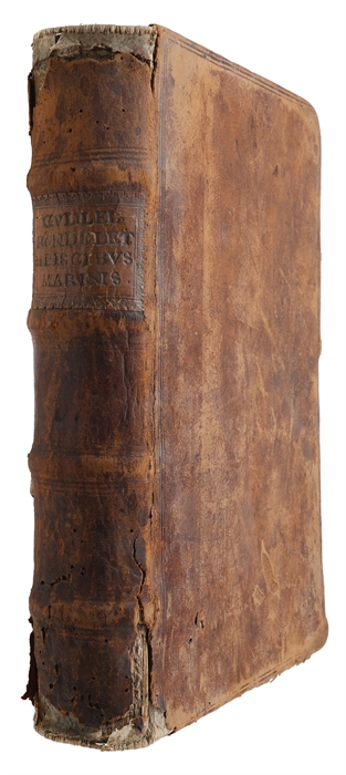 Libri de Piscibus Marinis, in quibus Piscium expressæ sunt. Quæ in tota Piscium historia contineantur, indicat Elenchus pagina nona et decima. Postremò accesserunt Indices necessarij. + Vniuersæ aquatilium Historiæ pars altera, cum veris ipsorum Imagi...
