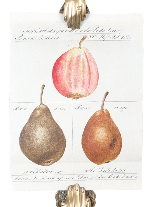 Ankundigung einer neuen und achten pomologie.