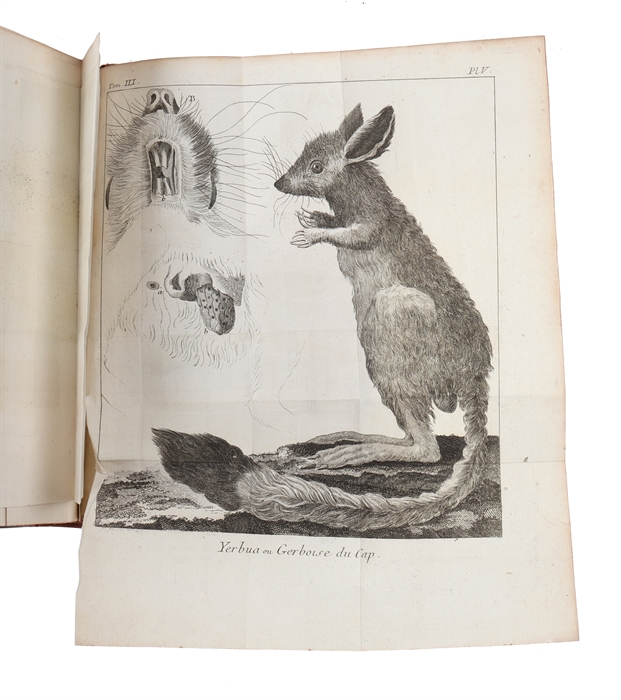 Voyage au Cap de Bonne-Espérance, et autour du monde avec le capitaine Cook. et principalement dans les pays des Hottentots et des Caffres. 3 vols.