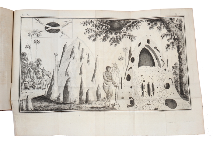 Voyage au Cap de Bonne-Espérance, et autour du monde avec le capitaine Cook. et principalement dans les pays des Hottentots et des Caffres. 3 vols.