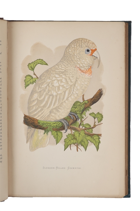 Parrots in captivity. 3 vols. 
