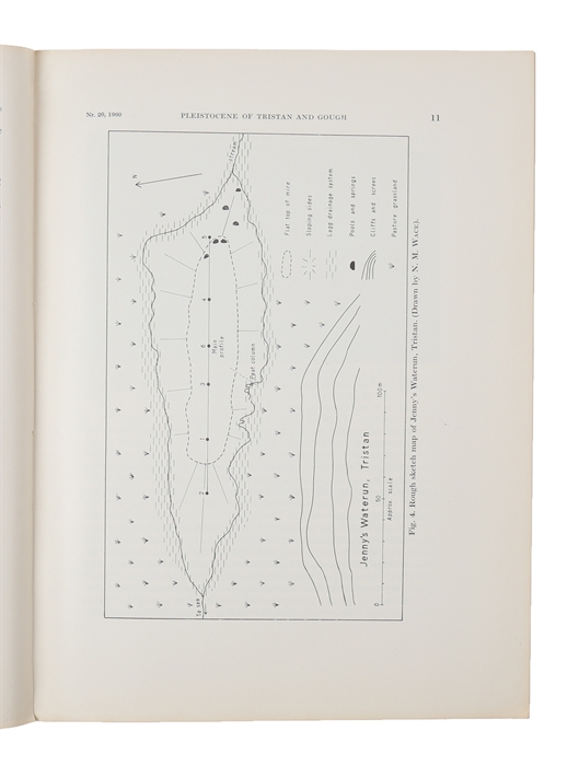 Pleistocene development of vegetation and climate in Tristan da Cunha and Gough Island