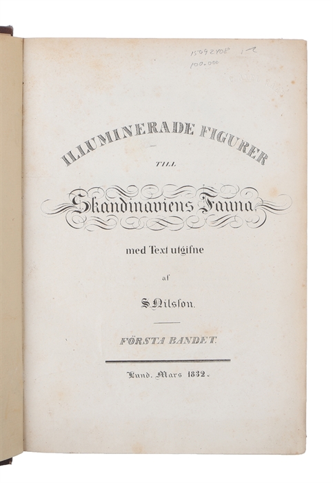 Illuminerade figurer till Skandinaviens fauna. Första Bandet (Vol. 1 out of 2).