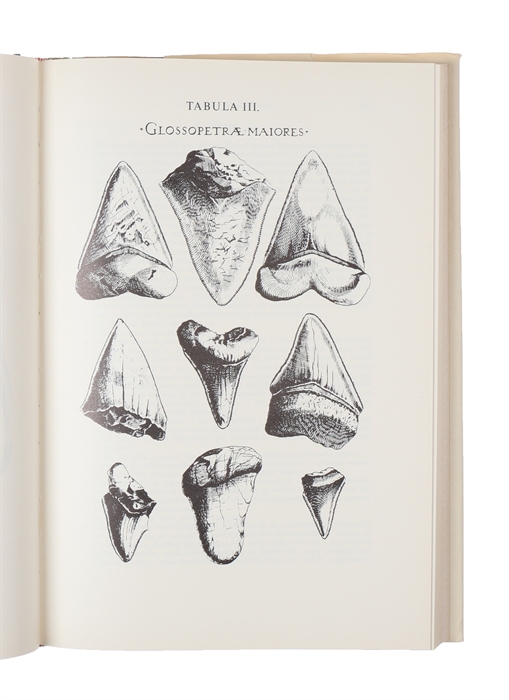 Steno Geological Papers.