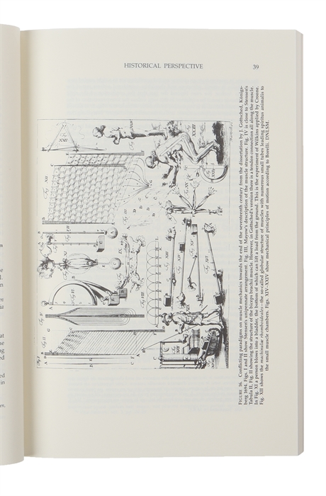 Steno on Muscles. Introduction, Texts and Translation. (In Transactions, American Philosophical Society (Vol. 84, Part 1)).