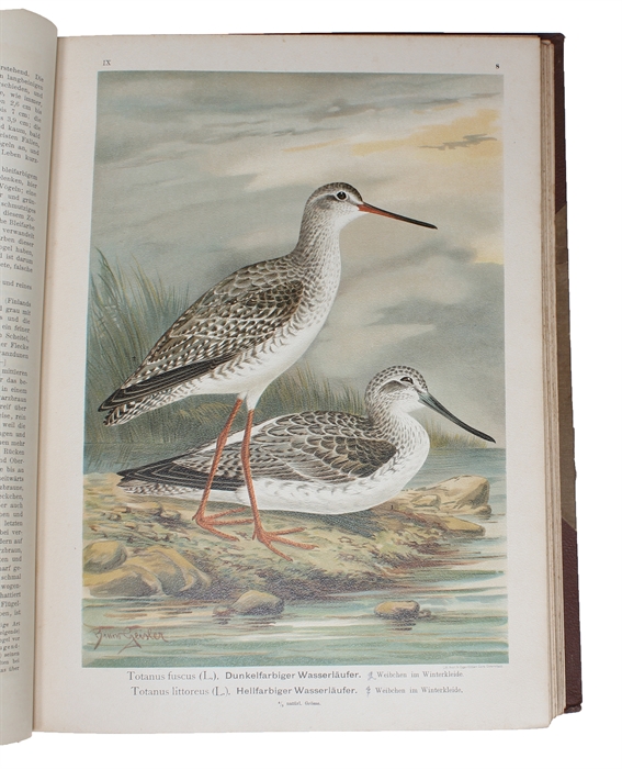 Naturgeschichte der Vögel Mitteleuropas. Neubearbeitet von G. Berg, R. Blasius a.( many others). Hrsg. von Carl R. Heinicke. 12 Bde.