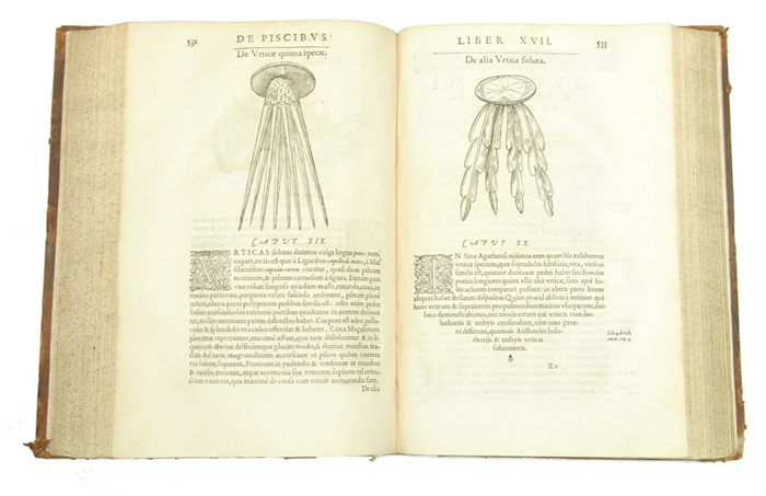 Libri de Piscibus Marinis, in quibus Piscium expressæ sunt. Quæ in tota Piscium historia contineantur, indicat Elenchus pagina nona et decima. Postremò accesserunt Indices necessarij. + Vniuersæ aquatilium Historiæ pars altera, cum veris ipsorum Imagin...