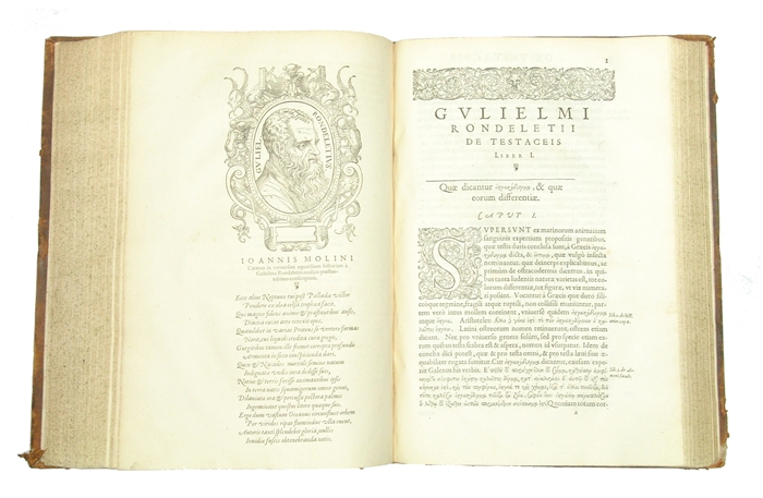 Libri de Piscibus Marinis, in quibus Piscium expressæ sunt. Quæ in tota Piscium historia contineantur, indicat Elenchus pagina nona et decima. Postremò accesserunt Indices necessarij. + Vniuersæ aquatilium Historiæ pars altera, cum veris ipsorum Imagin...