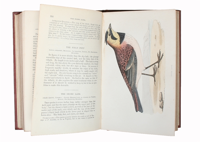 The Natural History of Cage Birds: their Managements, Habits, Food, Diseases, Treatment, Breading, and the Methods of Catching them. A New Edition.