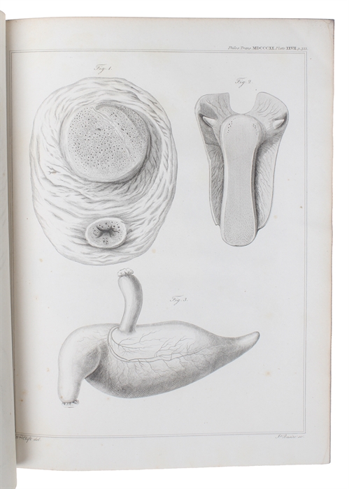 Particulars respecting the anatomy of the Dugong, intended as a Supplement to T.S. Raffles' Account of that Animal.