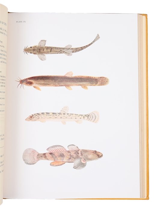 The Fresh-Water Fishes of China. With 143 Figures in the Text, 10 Coloured Plates, and 1 Map.